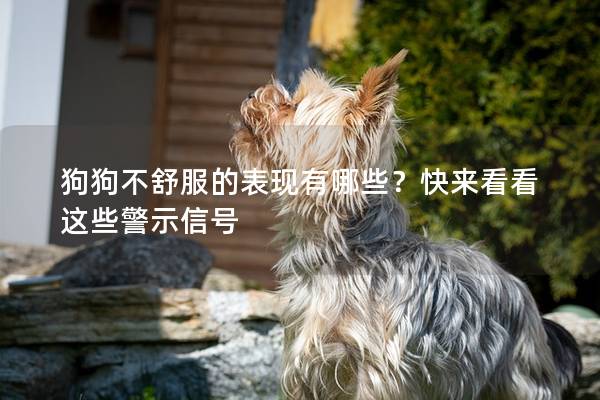 狗狗不舒服的表现有哪些？快来看看这些警示信号