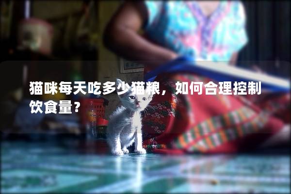 猫咪每天吃多少猫粮，如何合理控制饮食量？