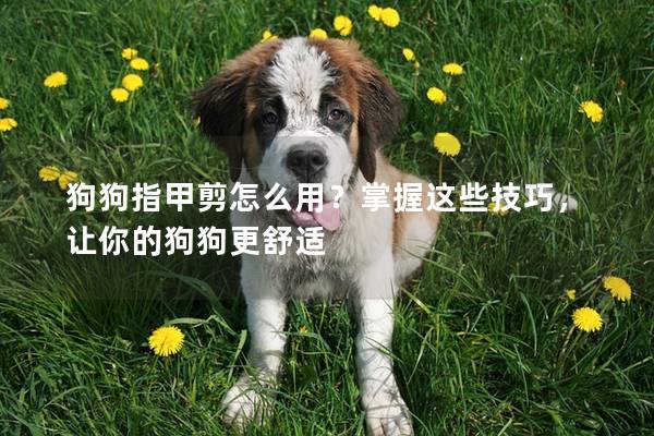 狗狗指甲剪怎么用？掌握这些技巧，让你的狗狗更舒适
