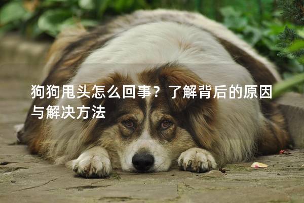 狗狗甩头怎么回事？了解背后的原因与解决方法