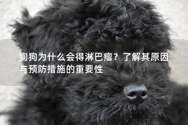 狗狗为什么会得淋巴瘤？了解其原因与预防措施的重要性