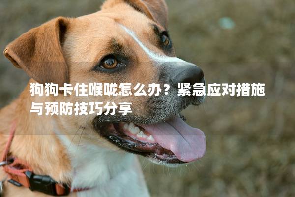 狗狗卡住喉咙怎么办？紧急应对措施与预防技巧分享