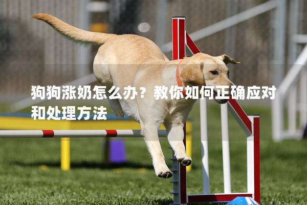 狗狗涨奶怎么办？教你如何正确应对和处理方法