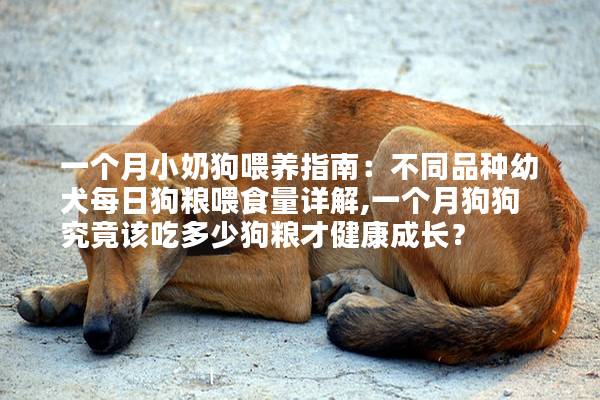 一个月小奶狗喂养指南：不同品种幼犬每日狗粮喂食量详解,一个月狗狗究竟该吃多少狗粮才健康成长？