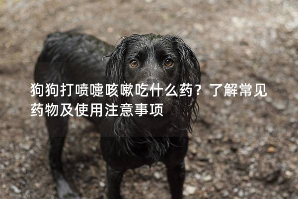 狗狗打喷嚏咳嗽吃什么药？了解常见药物及使用注意事项