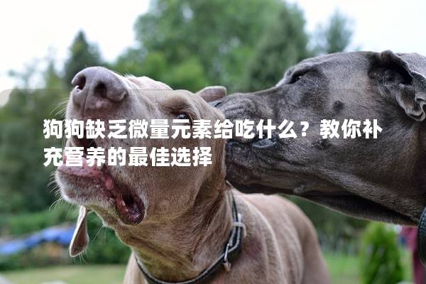 狗狗缺乏微量元素给吃什么？教你补充营养的最佳选择