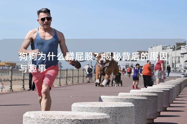 狗狗为什么蹭屁股？揭秘背后的原因与趣事