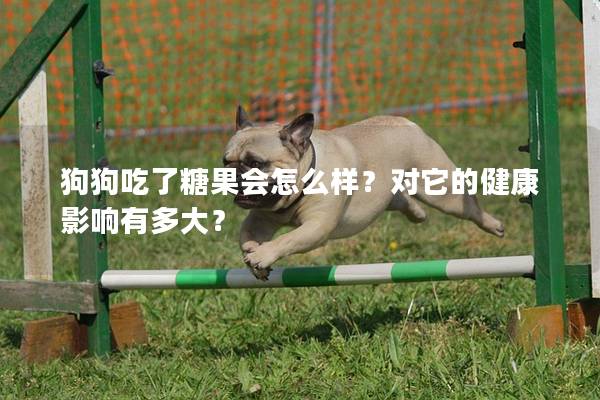狗狗吃了糖果会怎么样？对它的健康影响有多大？