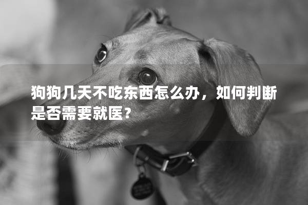狗狗几天不吃东西怎么办，如何判断是否需要就医？