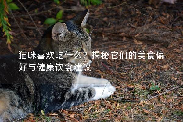 猫咪喜欢吃什么？揭秘它们的美食偏好与健康饮食建议