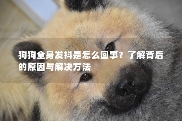 狗狗全身发抖是怎么回事？了解背后的原因与解决方法