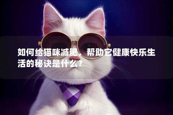如何给猫咪减肥，帮助它健康快乐生活的秘诀是什么？
