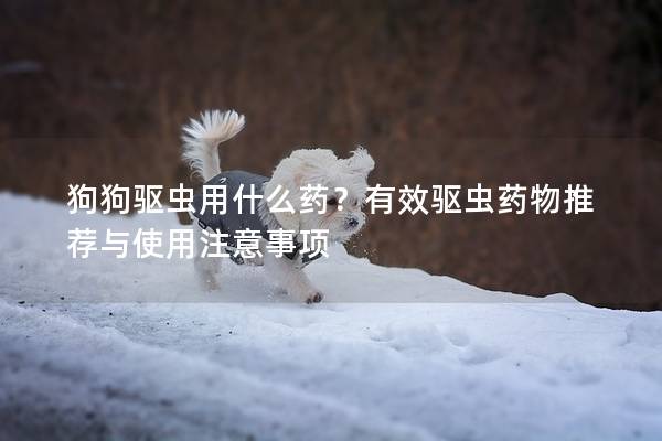 狗狗驱虫用什么药？有效驱虫药物推荐与使用注意事项