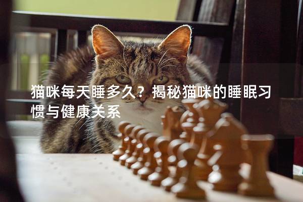 猫咪每天睡多久？揭秘猫咪的睡眠习惯与健康关系