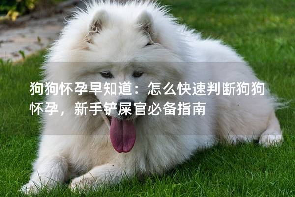 狗狗怀孕早知道：怎么快速判断狗狗怀孕，新手铲屎官必备指南