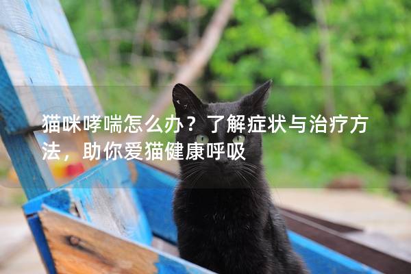 猫咪哮喘怎么办？了解症状与治疗方法，助你爱猫健康呼吸