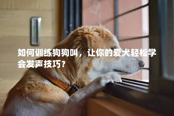 如何训练狗狗叫，让你的爱犬轻松学会发声技巧？