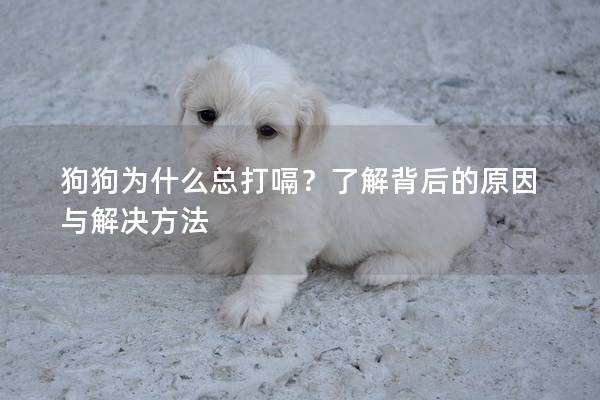 狗狗为什么总打嗝？了解背后的原因与解决方法