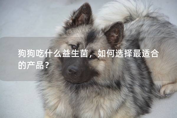 狗狗吃什么益生菌，如何选择最适合的产品？