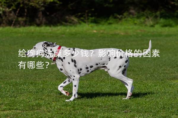 给狗狗洗澡多少钱？影响价格的因素有哪些？