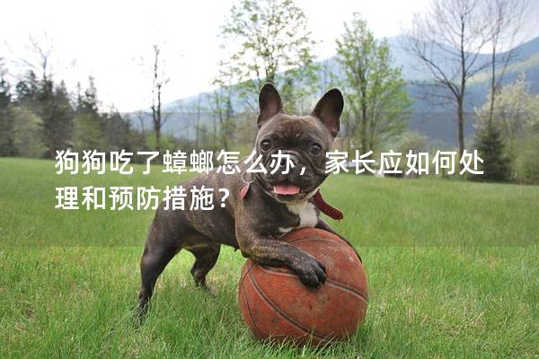 狗狗吃了蟑螂怎么办，家长应如何处理和预防措施？