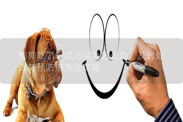 狗狗吃了一点巧克力怎么办？及时处理与预防措施全攻略