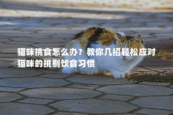 猫咪挑食怎么办？教你几招轻松应对猫咪的挑剔饮食习惯