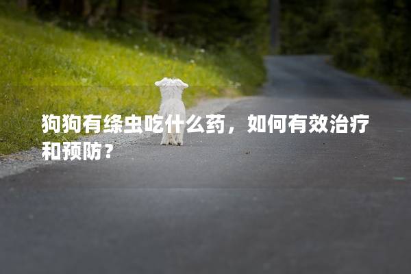 狗狗有绦虫吃什么药，如何有效治疗和预防？