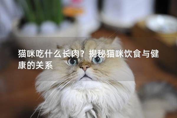 猫咪吃什么长肉？揭秘猫咪饮食与健康的关系