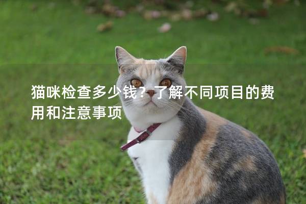 猫咪检查多少钱？了解不同项目的费用和注意事项