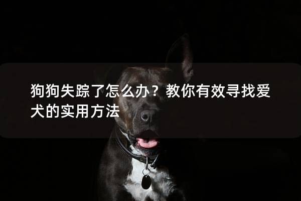 狗狗失踪了怎么办？教你有效寻找爱犬的实用方法