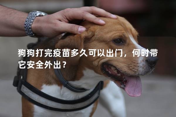 狗狗打完疫苗多久可以出门，何时带它安全外出？