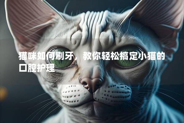 猫咪如何刷牙，教你轻松搞定小猫的口腔护理