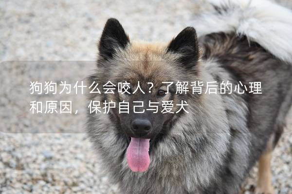 狗狗为什么会咬人？了解背后的心理和原因，保护自己与爱犬