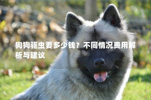 狗狗驱虫要多少钱？不同情况费用解析与建议
