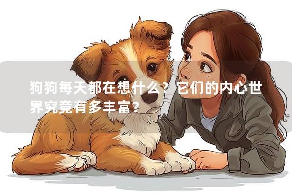 狗狗每天都在想什么？它们的内心世界究竟有多丰富？