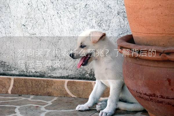 狗狗哭了代表什么预兆？了解背后的情感与需求