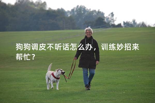 狗狗调皮不听话怎么办，训练妙招来帮忙？