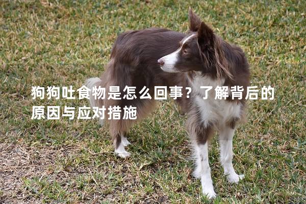 狗狗吐食物是怎么回事？了解背后的原因与应对措施