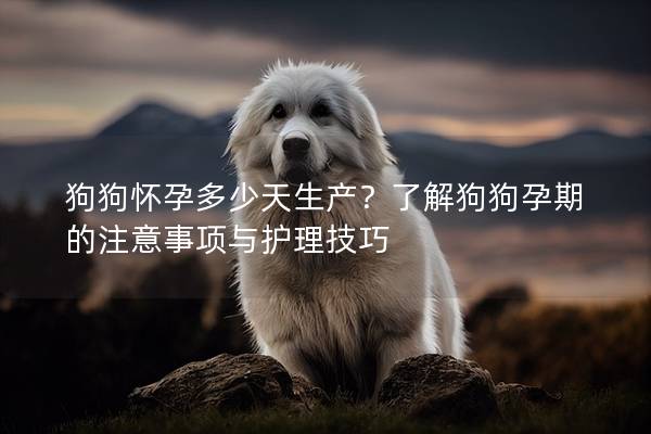 狗狗怀孕多少天生产？了解狗狗孕期的注意事项与护理技巧