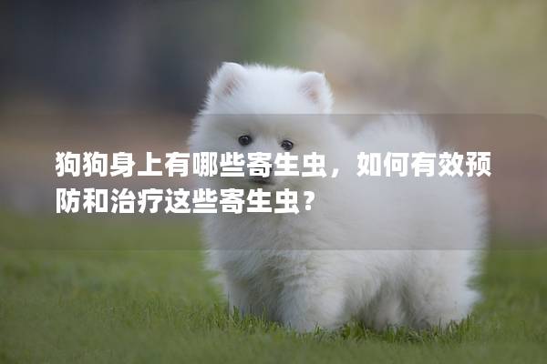 狗狗身上有哪些寄生虫，如何有效预防和治疗这些寄生虫？