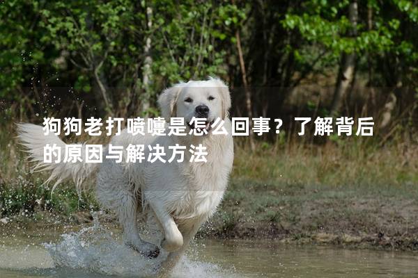 狗狗老打喷嚏是怎么回事？了解背后的原因与解决方法