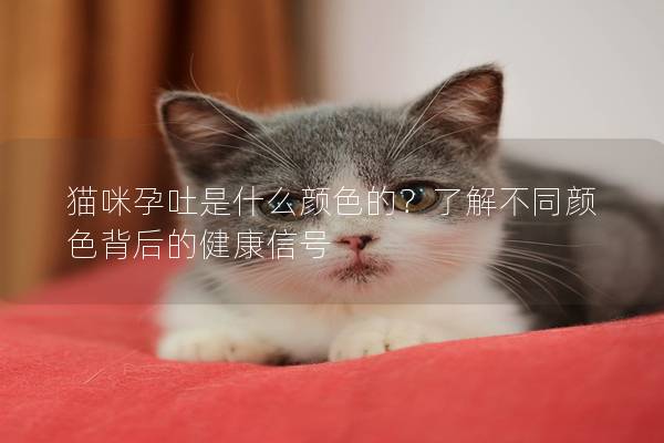 猫咪孕吐是什么颜色的？了解不同颜色背后的健康信号