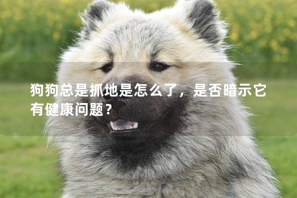 狗狗总是抓地是怎么了，是否暗示它有健康问题？