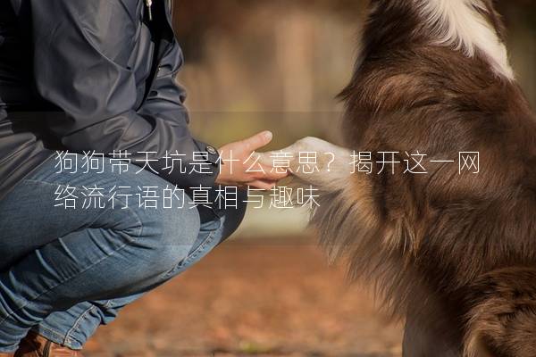 狗狗带天坑是什么意思？揭开这一网络流行语的真相与趣味