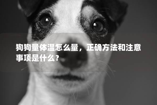 狗狗量体温怎么量，正确方法和注意事项是什么？