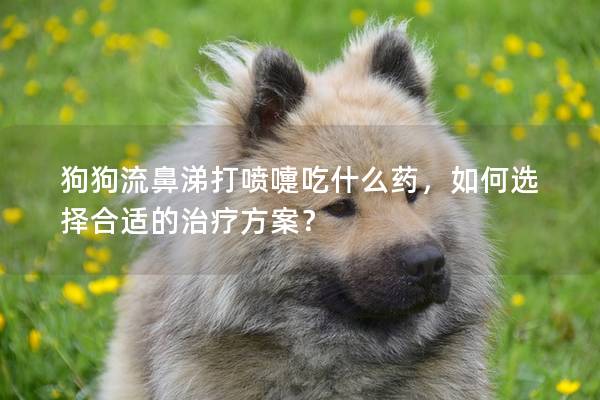 狗狗流鼻涕打喷嚏吃什么药，如何选择合适的治疗方案？
