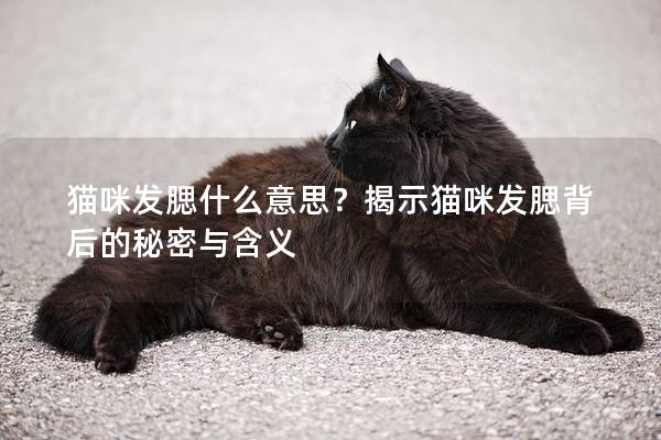 猫咪发腮什么意思？揭示猫咪发腮背后的秘密与含义