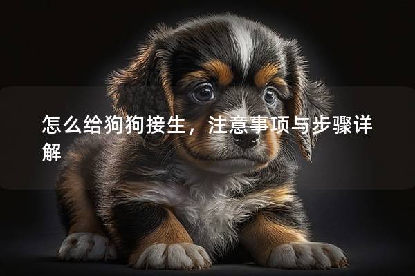 怎么给狗狗接生，注意事项与步骤详解