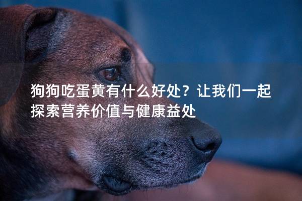 狗狗吃蛋黄有什么好处？让我们一起探索营养价值与健康益处